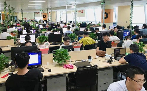 中通吉等8家區內企業榮登2020上海軟件和信息技術服務業雙百名單