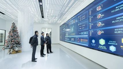 攜手共進，開創信息服務新篇章——上海市信息服務業行業協會秘書長陸雷一行蒞臨珍島集團調研